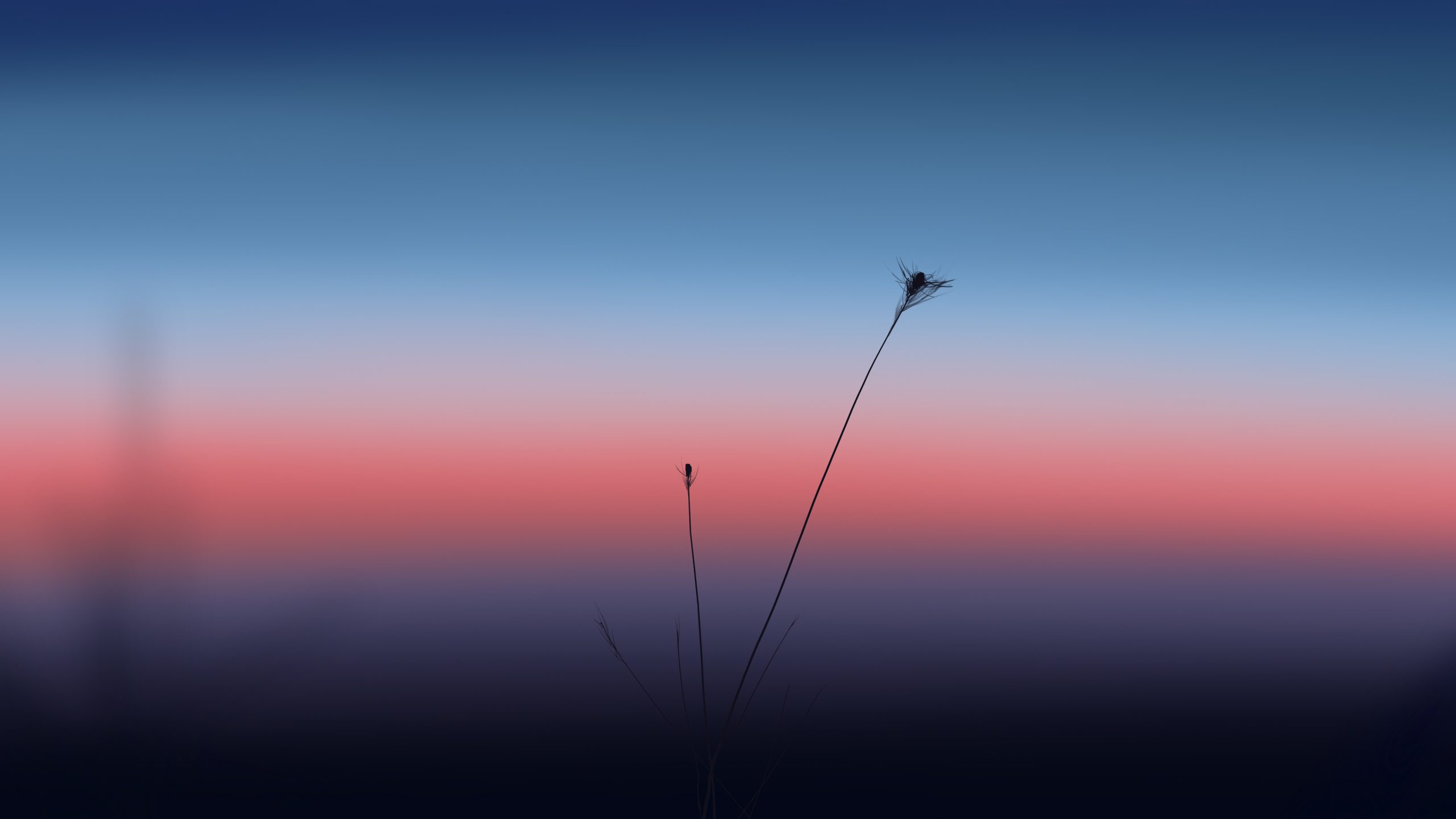 九零社区 - 资源共享|互通有无|个人PHP程序测试|WWW.90II.CN